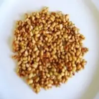 Asafoetida
