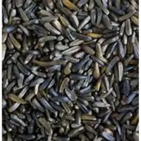 Niger Seeds