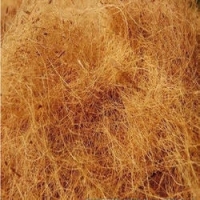 Coir Fibre