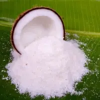 Coconut Powder