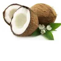 Coconuts