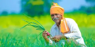 E-silk Route Ventures Pvt. Ltd. company image 2