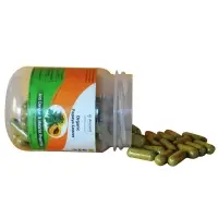 Organic Papaya Leaves Capsules