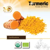 Turmeric Powder & Whole Turmeric