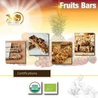 Fruit Bars