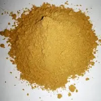 Ceylon Organic Ginger (Powder)