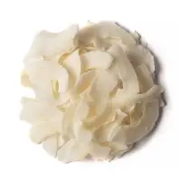 Ceylon Organic Coconut Chips (Raw)