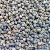 Organic Pepper