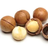Macadamia Nuts