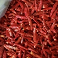 Dried Red Chilli (Dry Chili)