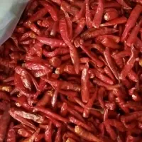 Dried Red Chilli (Dry Chili)