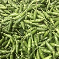 Fresh Green Bird's Eye Chilli