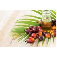 RBD Palm Fruit And Oil