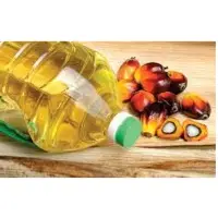 RBD Palm Olein With Palm Seed