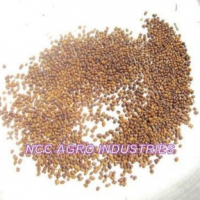 Indigofera Tinctoria Seeds