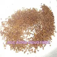 Indigofera Tinctoria Seeds