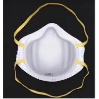 N95 Face Mask