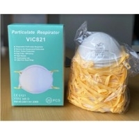 N95 Face Mask