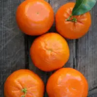 Mandarin - Clementine