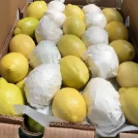 Fresh Lemons - Eureka