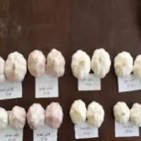 Fresh Garlic -Normal White