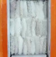 Cut Poulp Squid