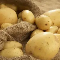 Potato