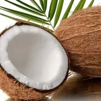Indian Husked & Semi-Husked Coconut