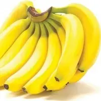 Cavendish Banana