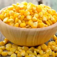 Yellow Maize/Corn