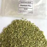 Fennel Seed