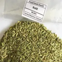 Fennel Seed
