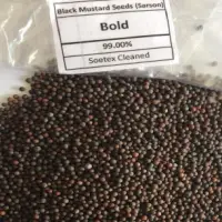 Black Mustard