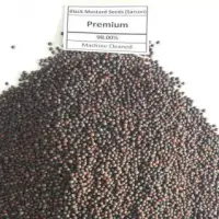 Black Mustard Seed