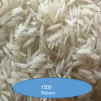 1509 Steam Rice