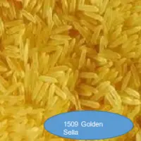 1509 Golden Sella Rice