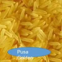Pusa Golden Rice