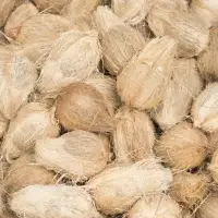 Semi Husked Coconut