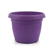 Flower Pots