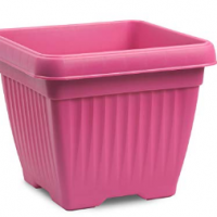 Flower Pots