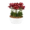 Recyclable Pots