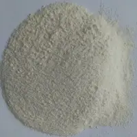 Garlic Powder