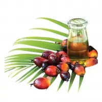 Rbd Palm Olein Oil