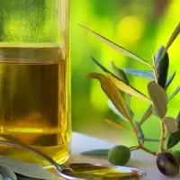 Olive Oil