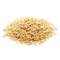 Sesame (Sesamum Indicum)