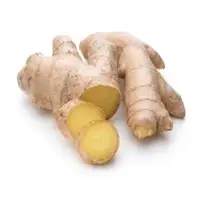 Ginger (Zingiber Officinale)