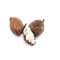 Shea (Vitellaria Paradoxa)