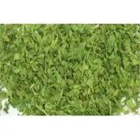 Coriander