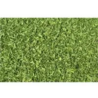Parsley