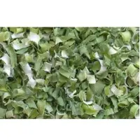 Leek